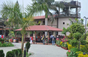 Sauraha Resort