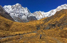 Culture and Wildlife Adventure Tour in Nepal