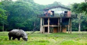 5 Star Hotels In Chitwan